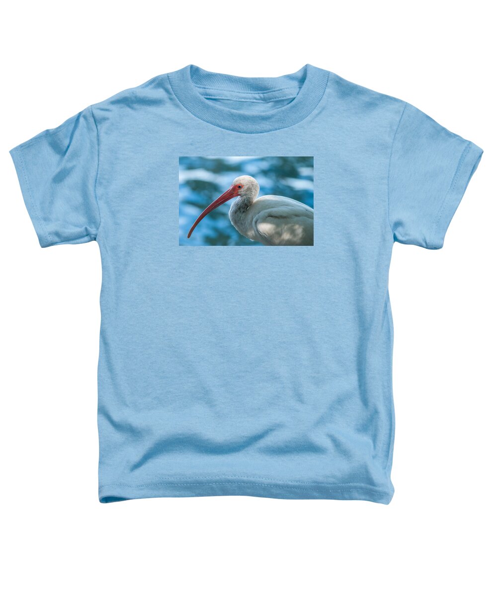 American White Ibis (eudocimus Albus) Toddler T-Shirt featuring the photograph Wild eyed Ibis by Brian Green