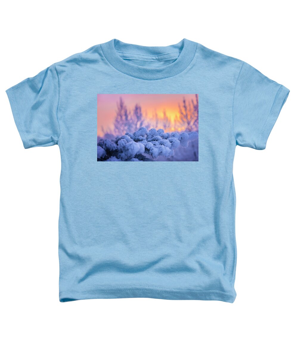 Alaska Toddler T-Shirt featuring the photograph Winters Frost by Scott Slone