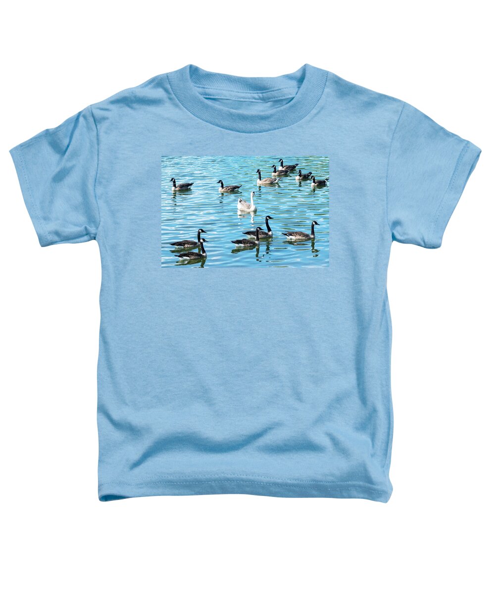 Canada Geese Toddler T-Shirt featuring the photograph You Just Had to Be Different by Mary Ann Artz