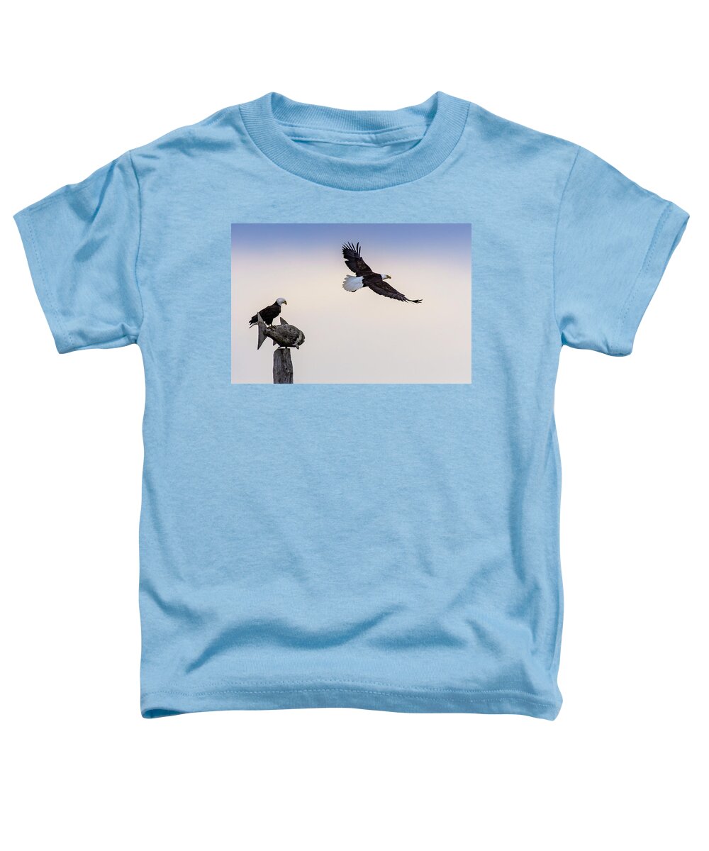 Eagles Toddler T-Shirt featuring the photograph Eagles by Jerry Cahill