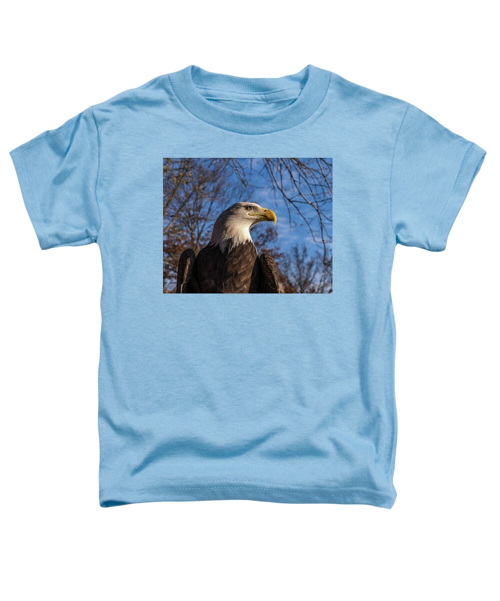 Eagle Toddler T-Shirt featuring the photograph Evening Light #1 by Laura Hedien
