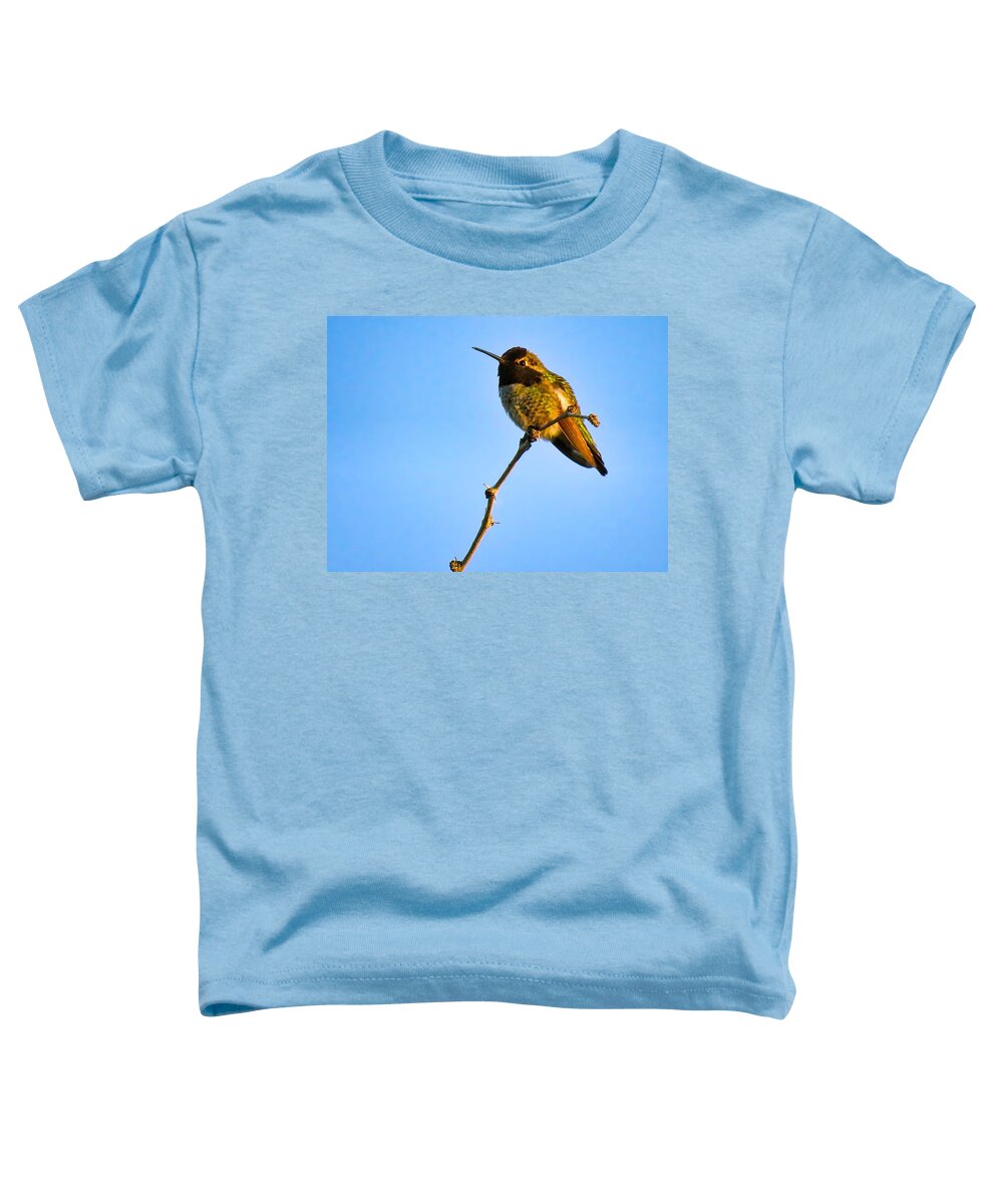 Animals Toddler T-Shirt featuring the photograph Bright LIttle Buddy by Judy Kennedy