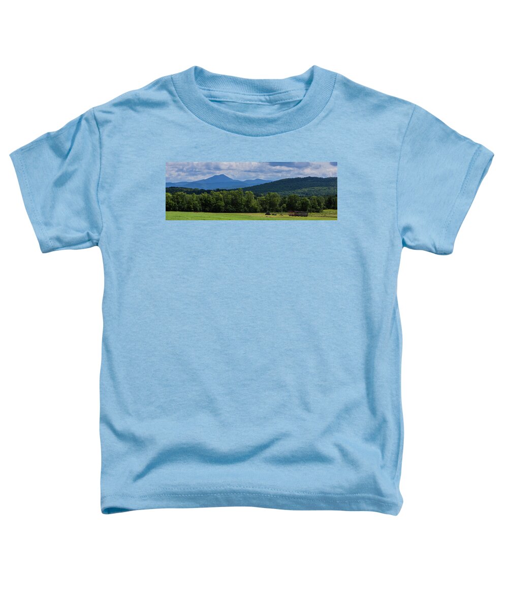 Mountains Toddler T-Shirt featuring the photograph Camel's Hump Mountain, Vermont by Ann Moore