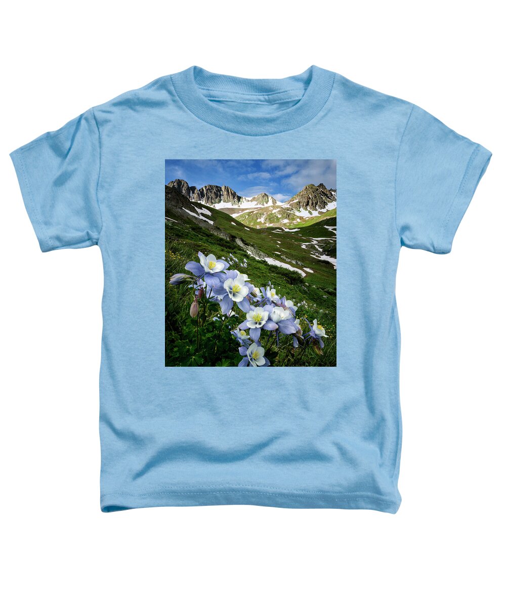 Wildflowers Toddler T-Shirt featuring the photograph Columbines at American Basin by David Soldano