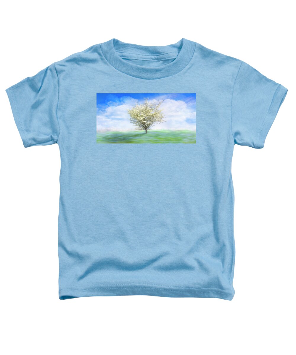 Carolina Toddler T-Shirt featuring the photograph Dogwood in the Mist Dreamscape by Debra and Dave Vanderlaan