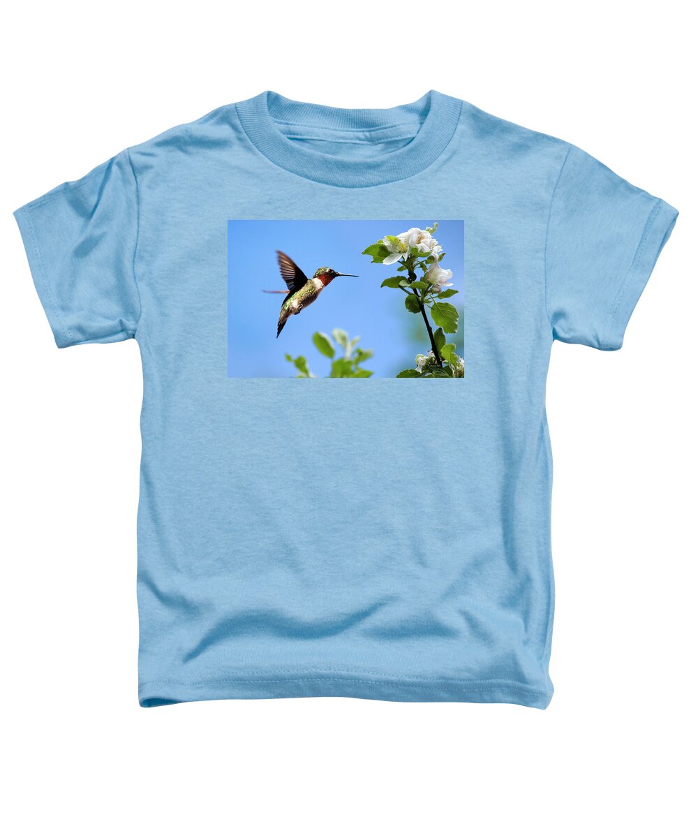 Hummingbird Toddler T-Shirt featuring the photograph Eternal Hummingbird by Christina Rollo