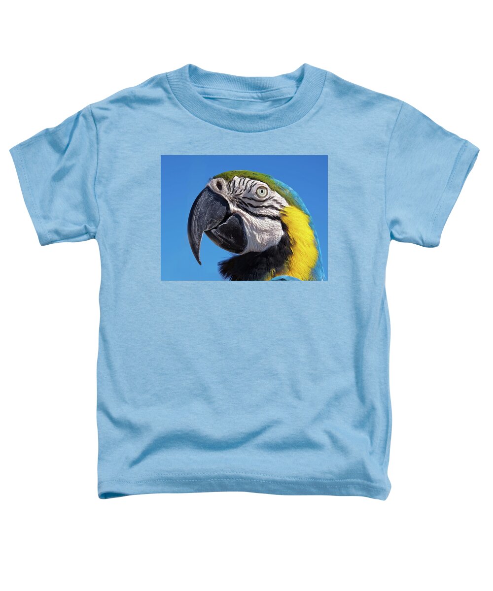 Parrot Toddler T-Shirt featuring the photograph Eye contact - Colorful parrot's head by Tatiana Travelways