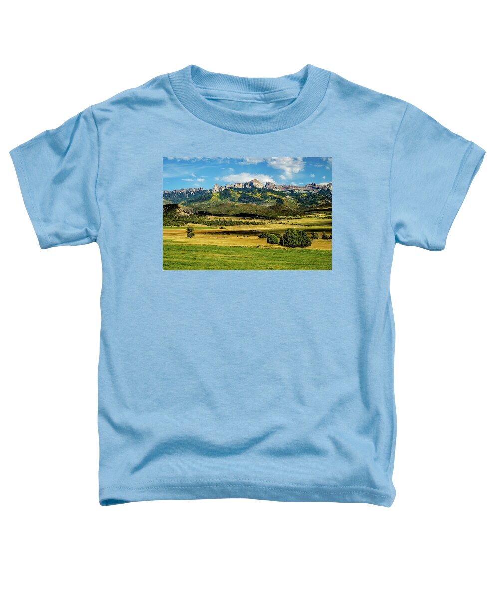 Aspens Toddler T-Shirt featuring the photograph Field Of Gold by Johnny Boyd