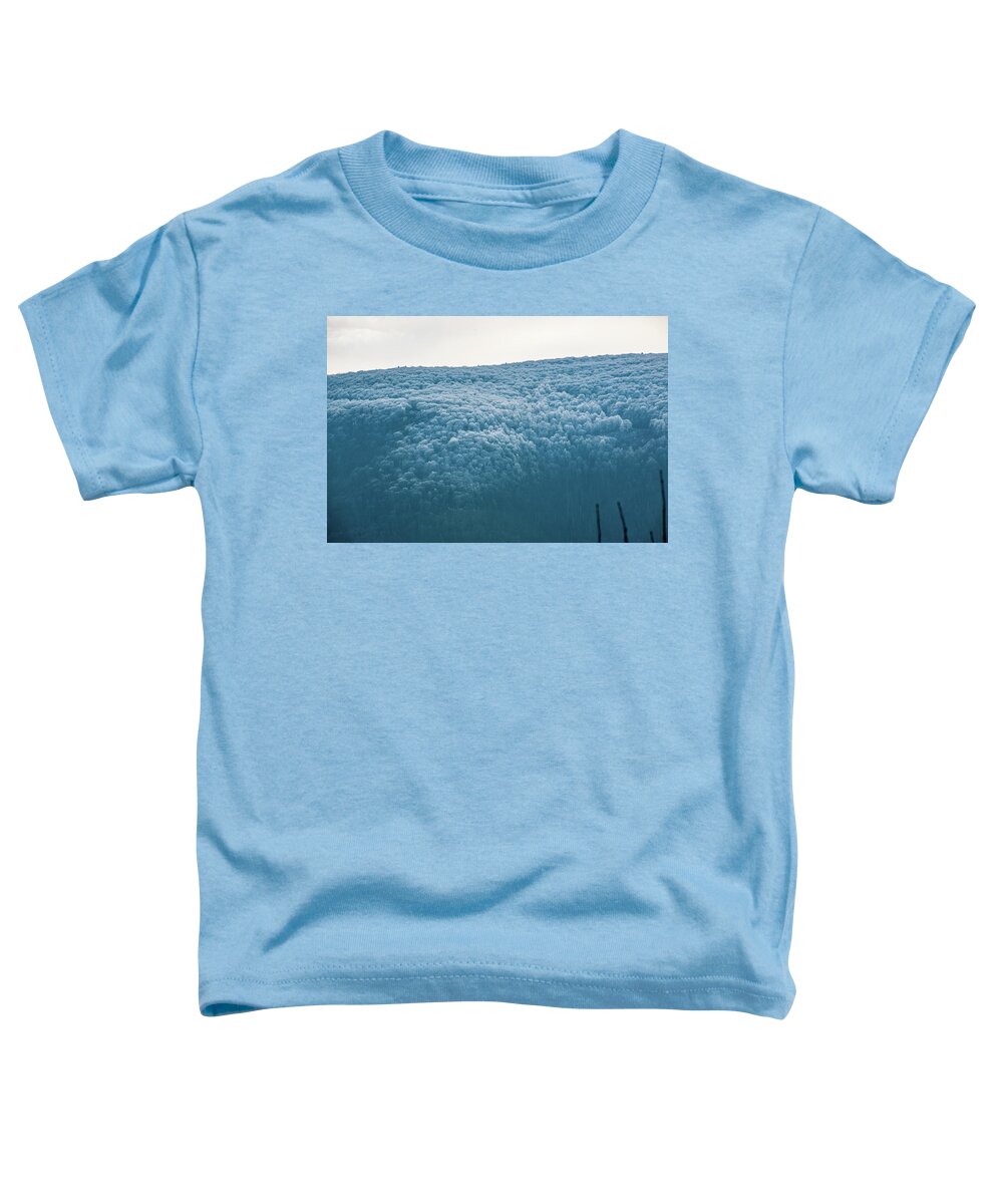 Blue Ridge Toddler T-Shirt featuring the photograph Hoarfrost Blue Mountain by Mark Duehmig