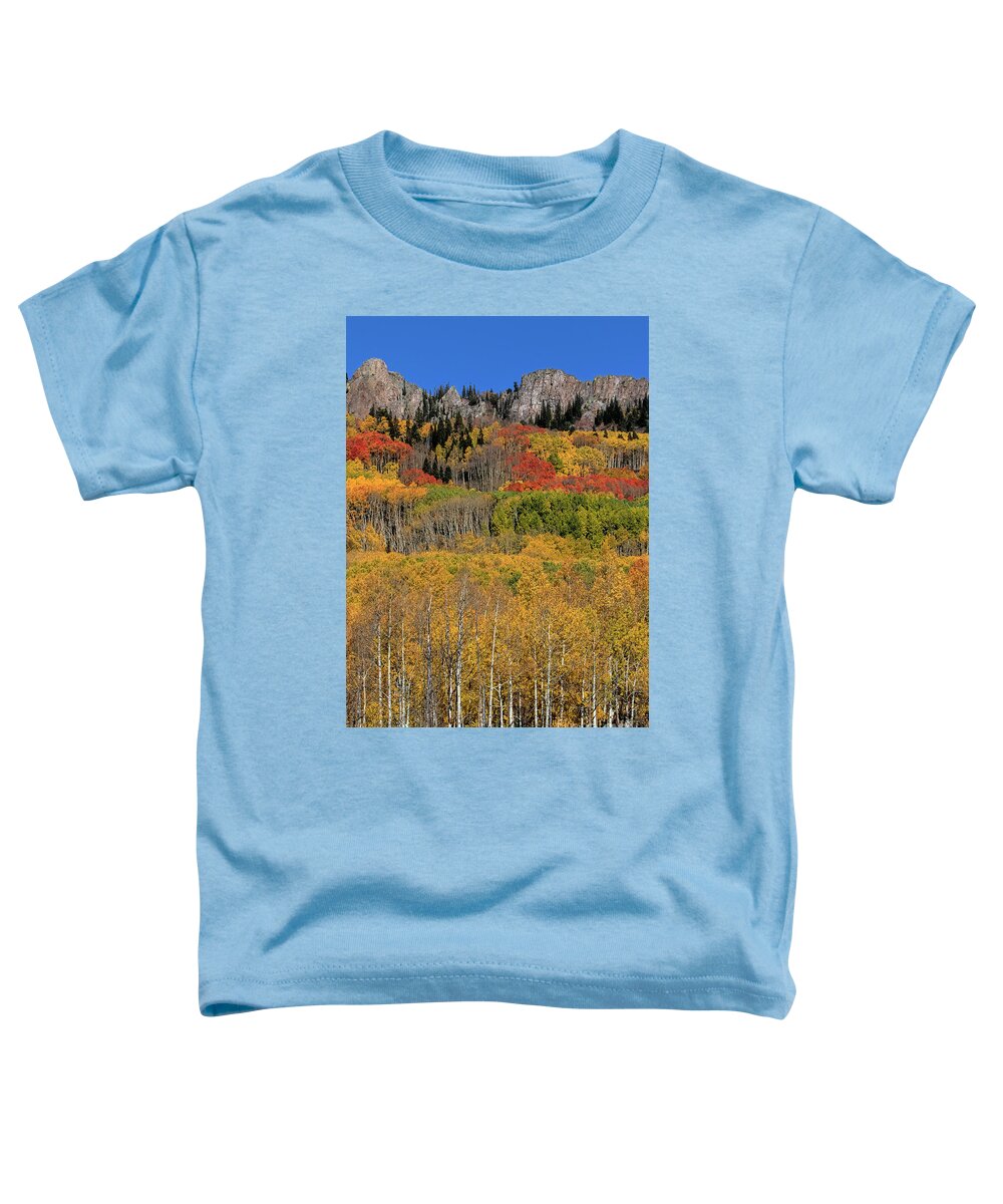 Gold Leaves Toddler T-Shirt featuring the photograph Kebler Pass #1 by Jim Garrison