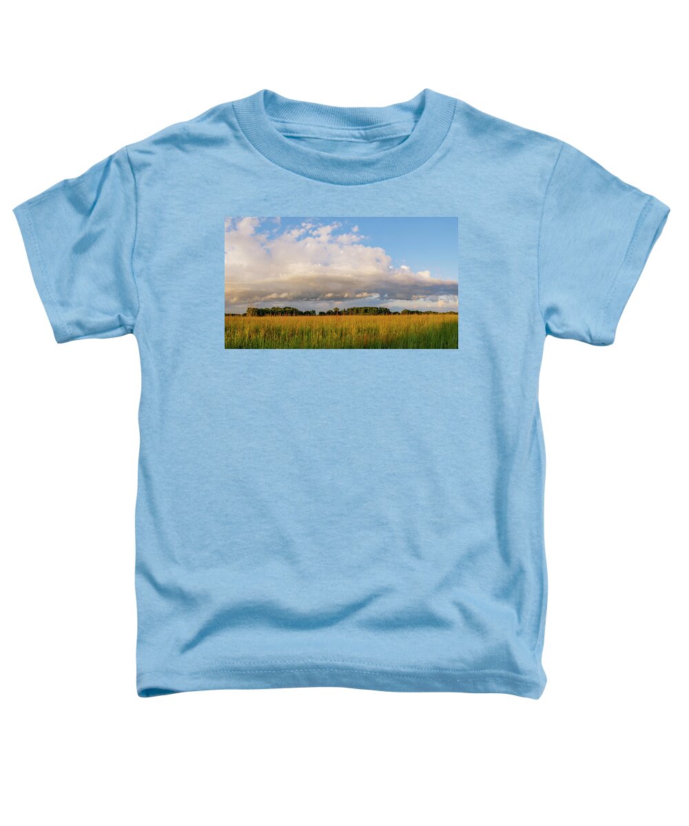 Illinois Toddler T-Shirt featuring the photograph Midewin Prairie Panorama by Todd Bannor