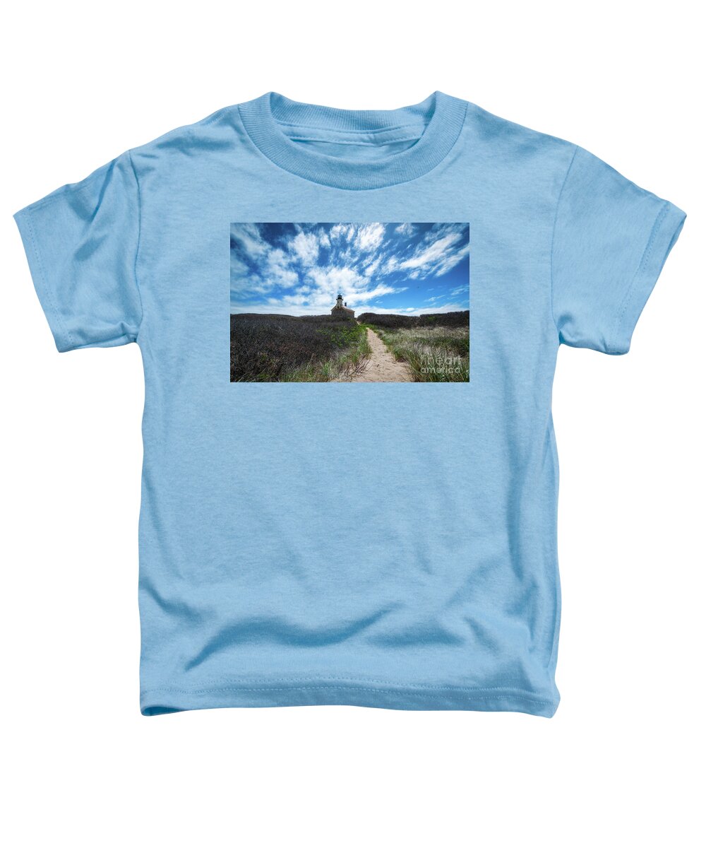Rhode Island Toddler T-Shirt featuring the photograph Path To North Light by Michael Ver Sprill