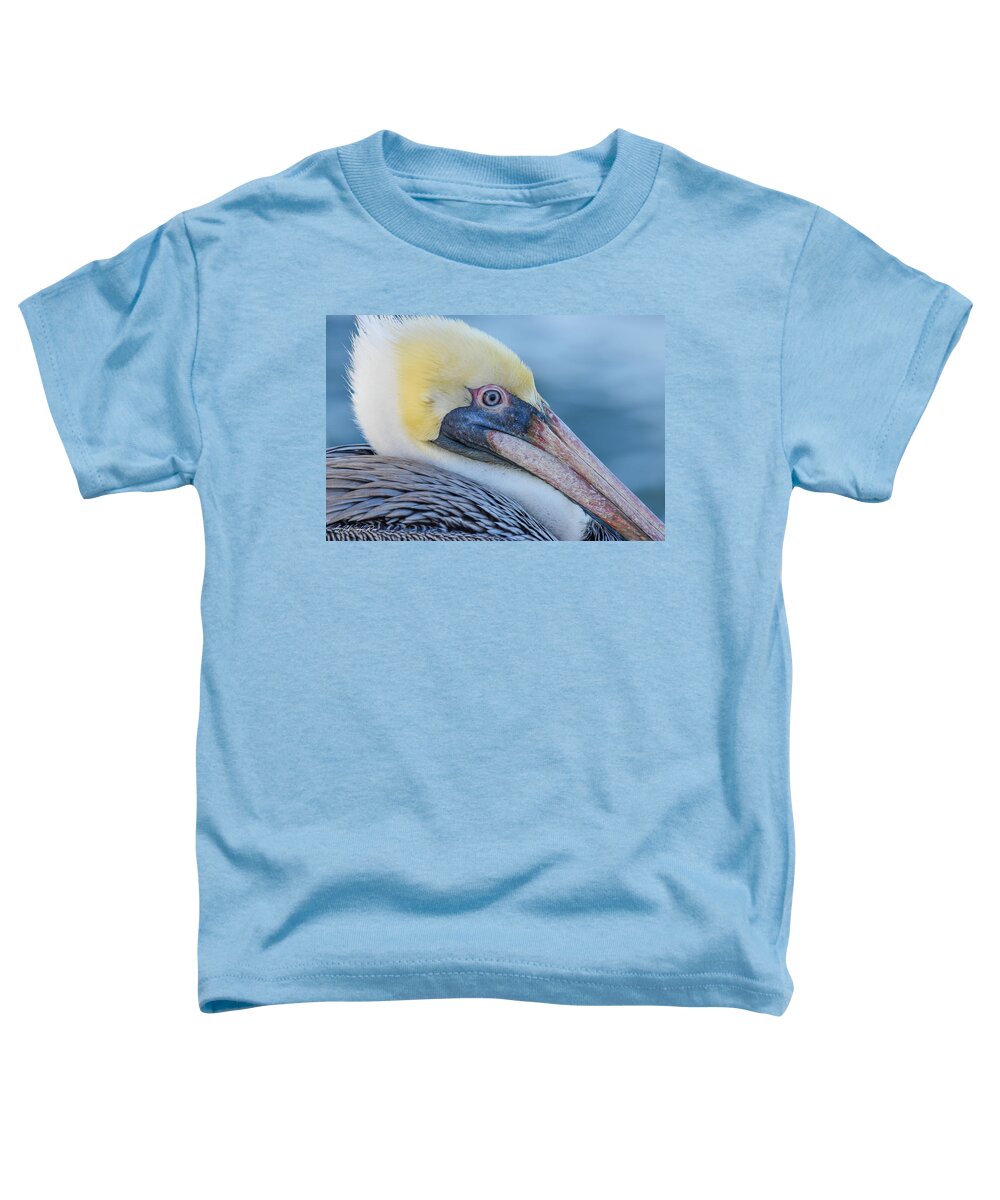 Pelican Toddler T-Shirt featuring the photograph Pelican Profile by Christopher Rice