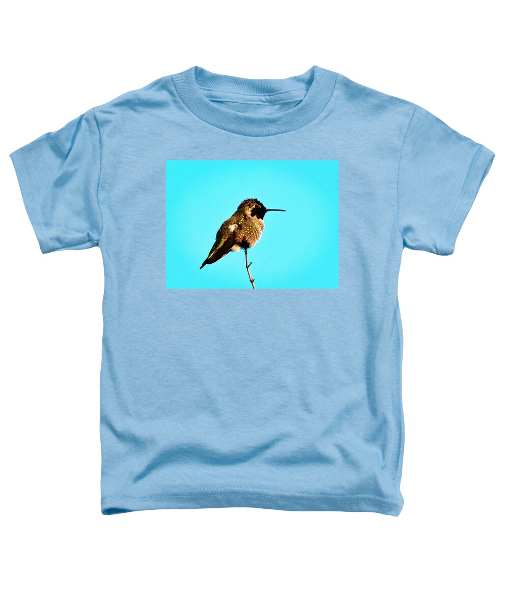 Calypte Costae Toddler T-Shirt featuring the photograph Perfect Posing by Judy Kennedy