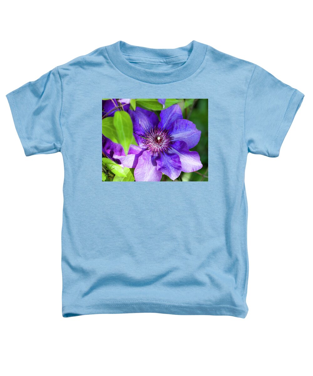 Clematis Toddler T-Shirt featuring the photograph Perfectly Purple The President Clematis Blossom by Kathy Clark