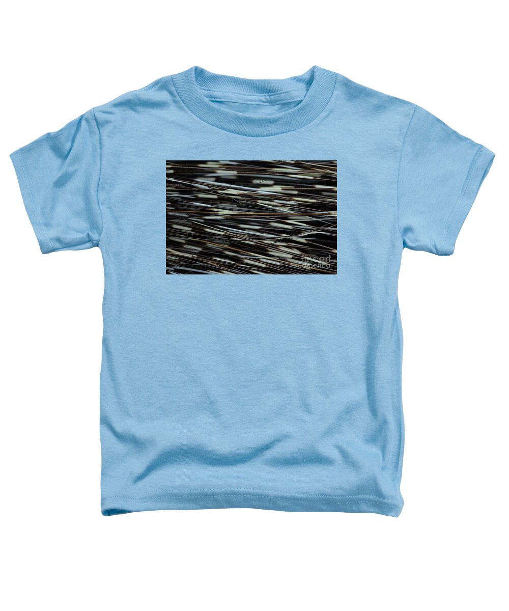 Porcupine Quills Toddler T-Shirt featuring the photograph Porcupine Quills Fuerteventura by Eddie Barron