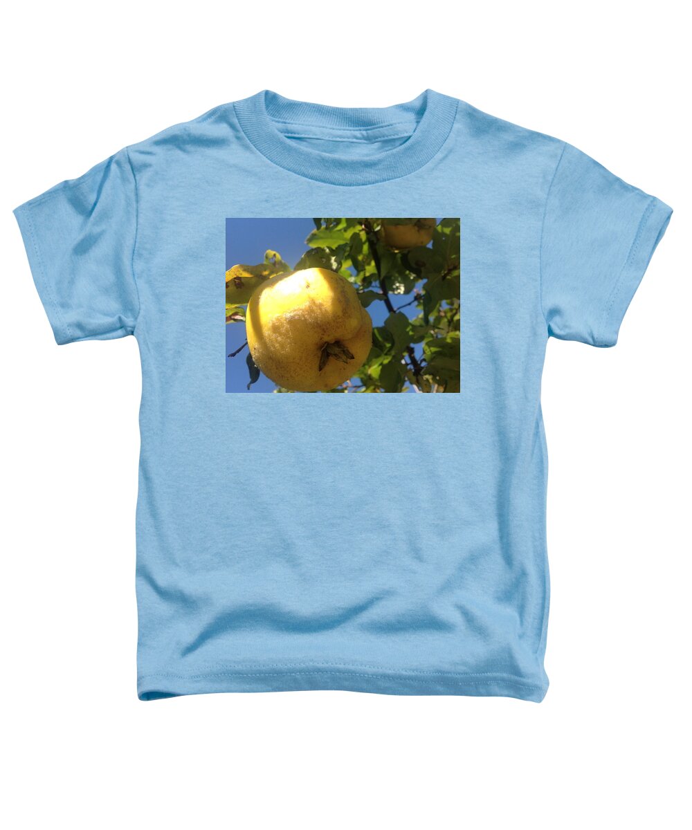 Quince Toddler T-Shirt featuring the photograph Quince Tree by Julie Rauscher