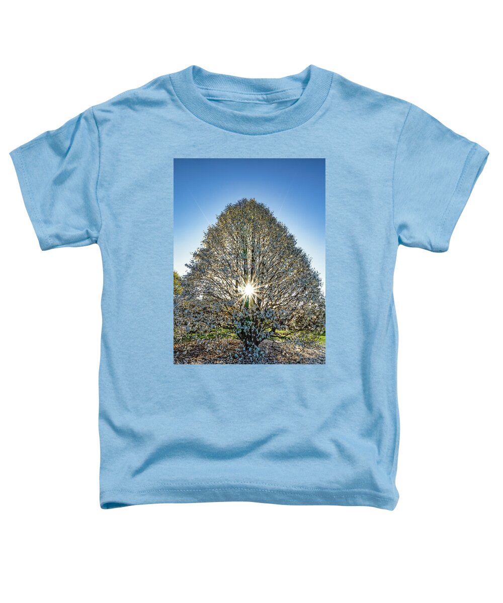 Tree Toddler T-Shirt featuring the photograph Spring by Brad Bellisle
