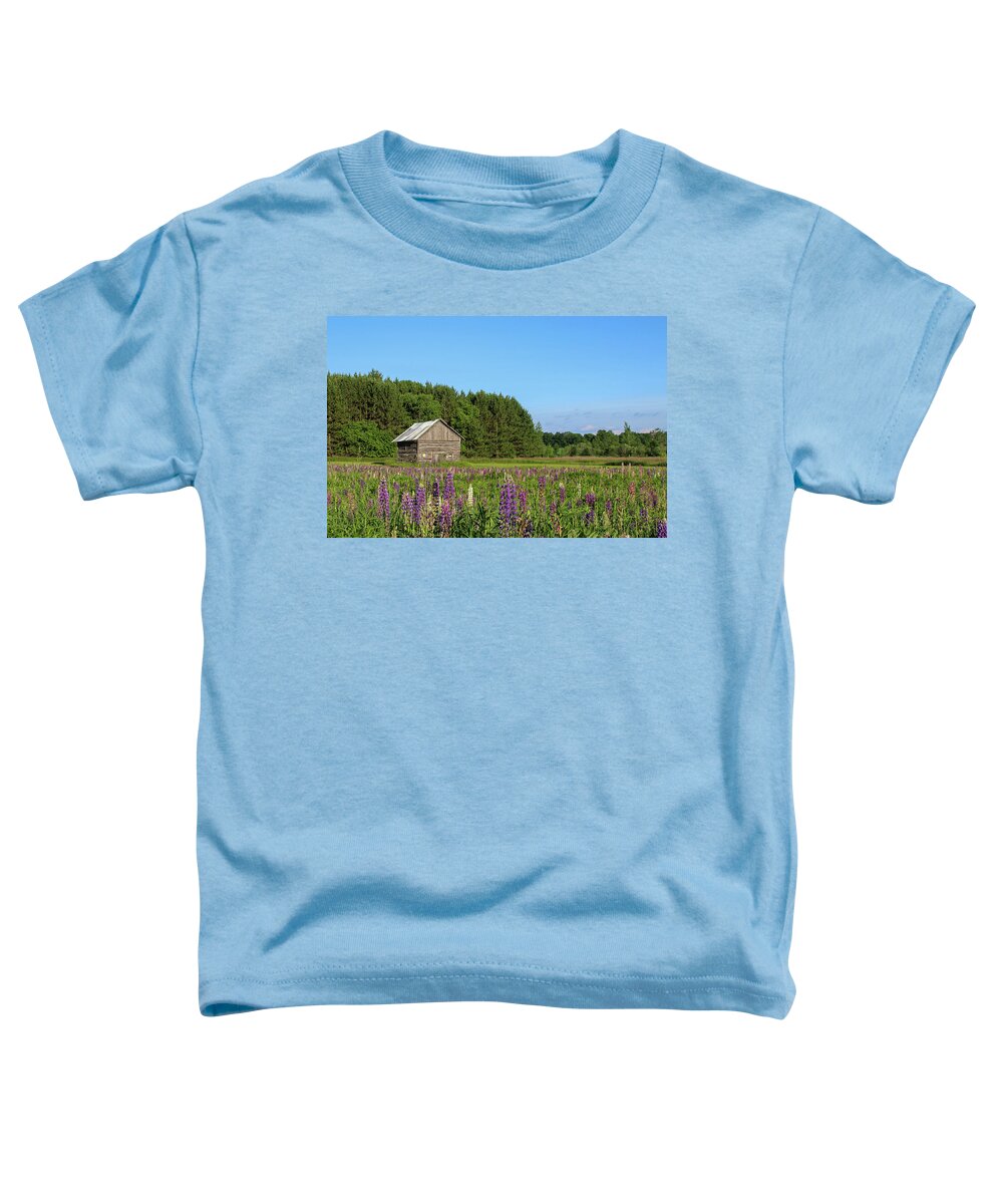 Lupine Toddler T-Shirt featuring the photograph Spring Lupine Barn 34 by Brook Burling