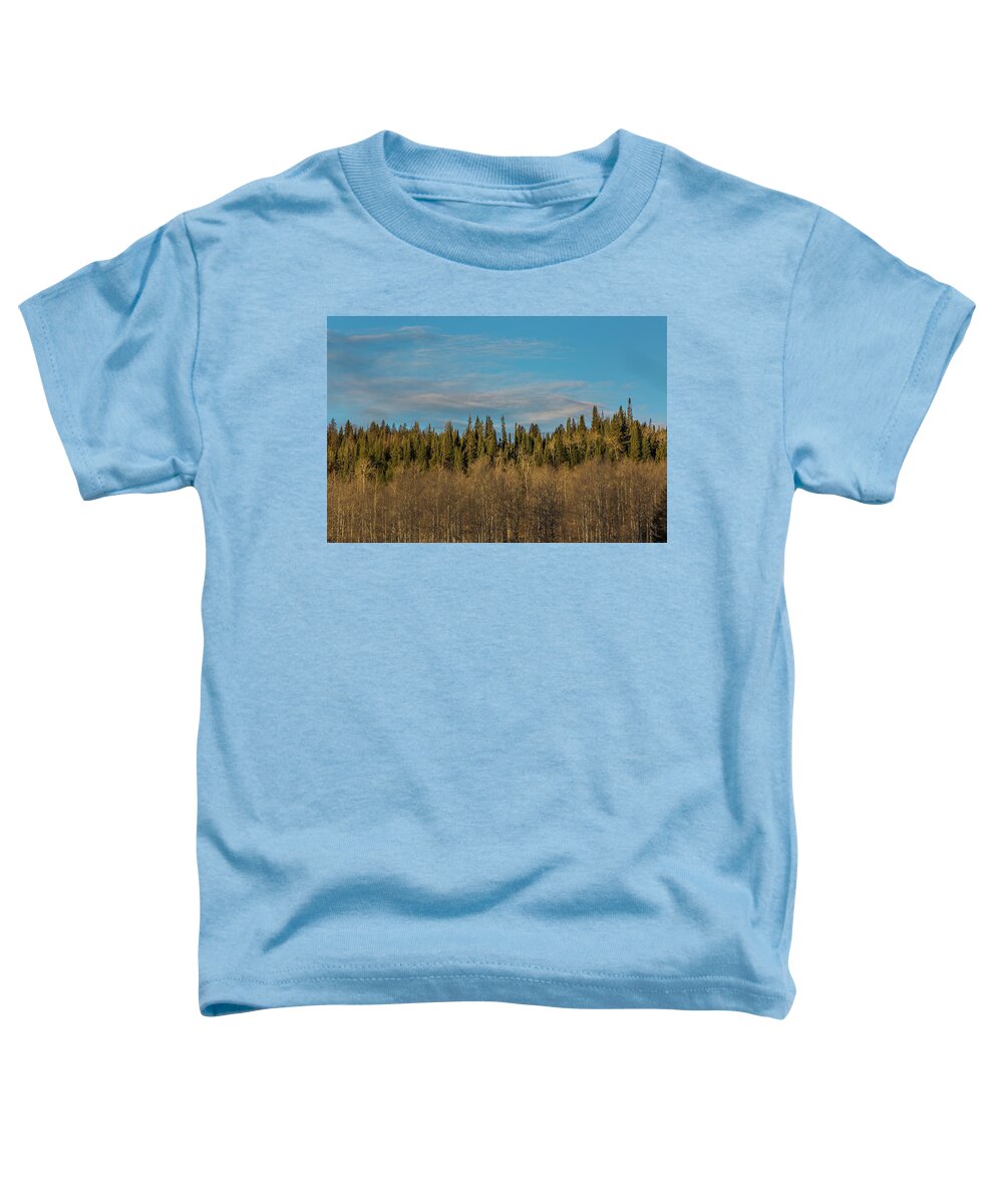Trees Toddler T-Shirt featuring the photograph Treescape, Wyoming by Julieta Belmont