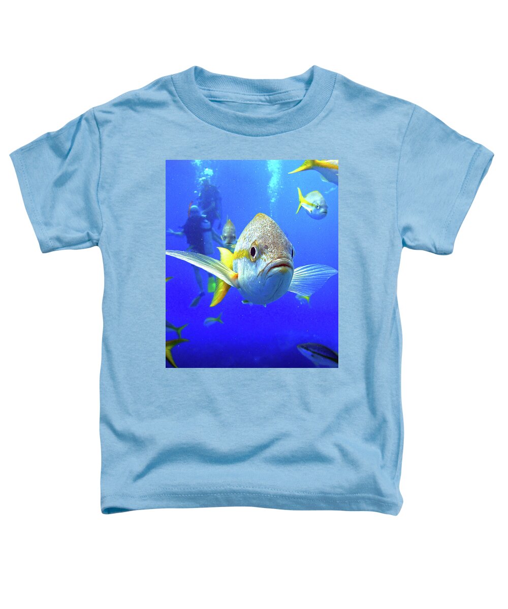 Yellowtail Snapper Toddler T-Shirt featuring the photograph Yellowtails by Climate Change VI - Sales