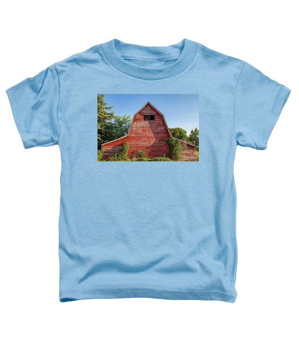 Barn Toddler T-Shirt featuring the photograph Idaho Barn #1 by Dart Humeston