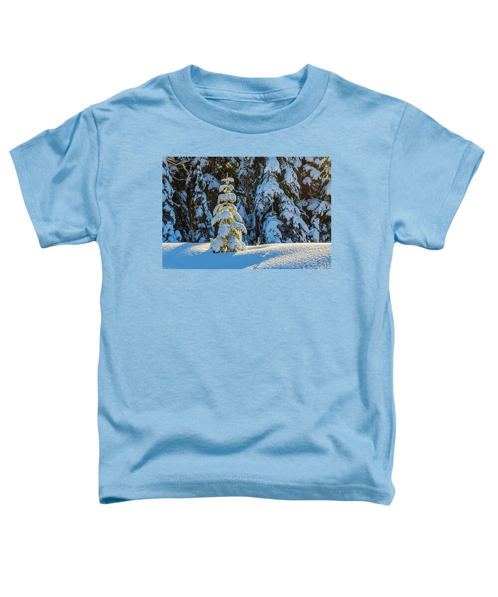 Landscapes Toddler T-Shirt featuring the photograph A Little Christmas Tree by Claude Dalley