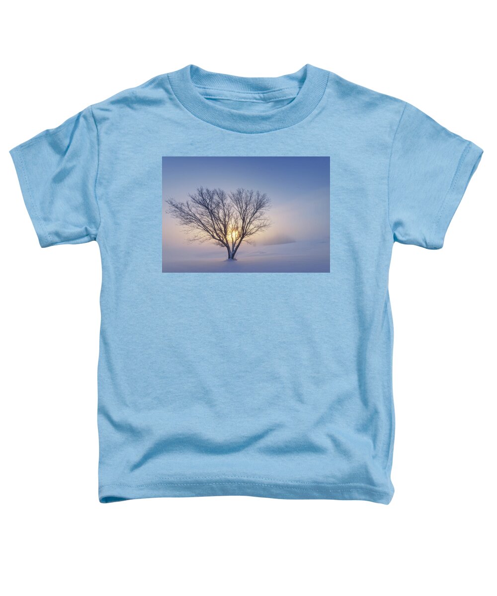 Tree Toddler T-Shirt featuring the photograph Alone in the Snow by Dan Jurak