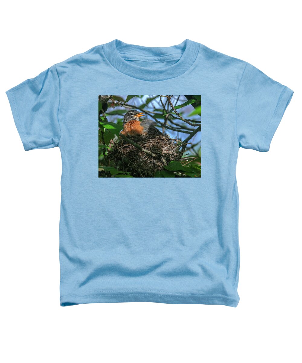 Nature Toddler T-Shirt featuring the photograph American Robin Sitting on Nest DSB0369 by Gerry Gantt