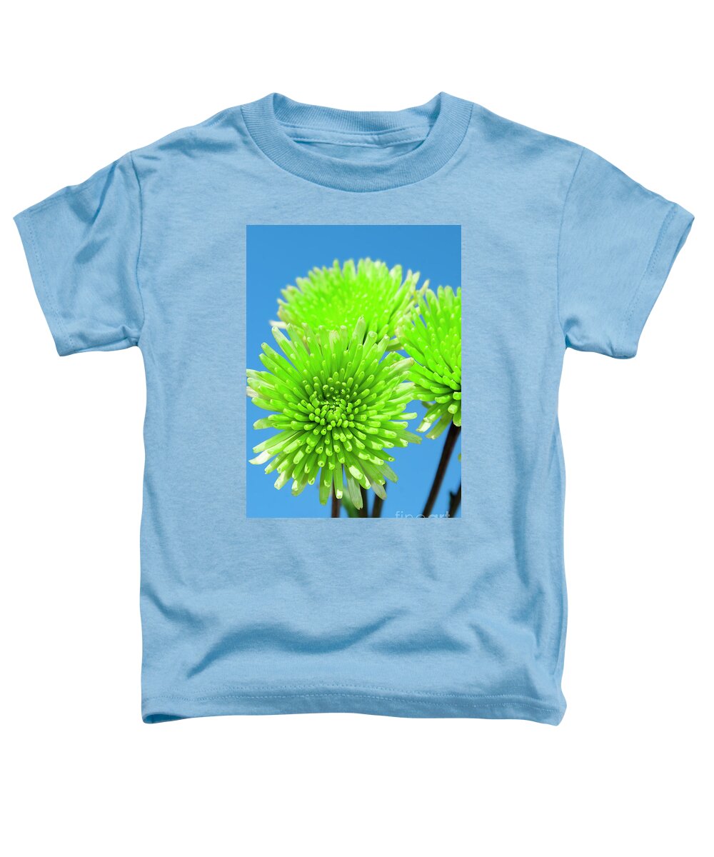 Floral Toddler T-Shirt featuring the photograph Anastacia Green Chrysanthemum Flower Joy by Renee Spade Photography