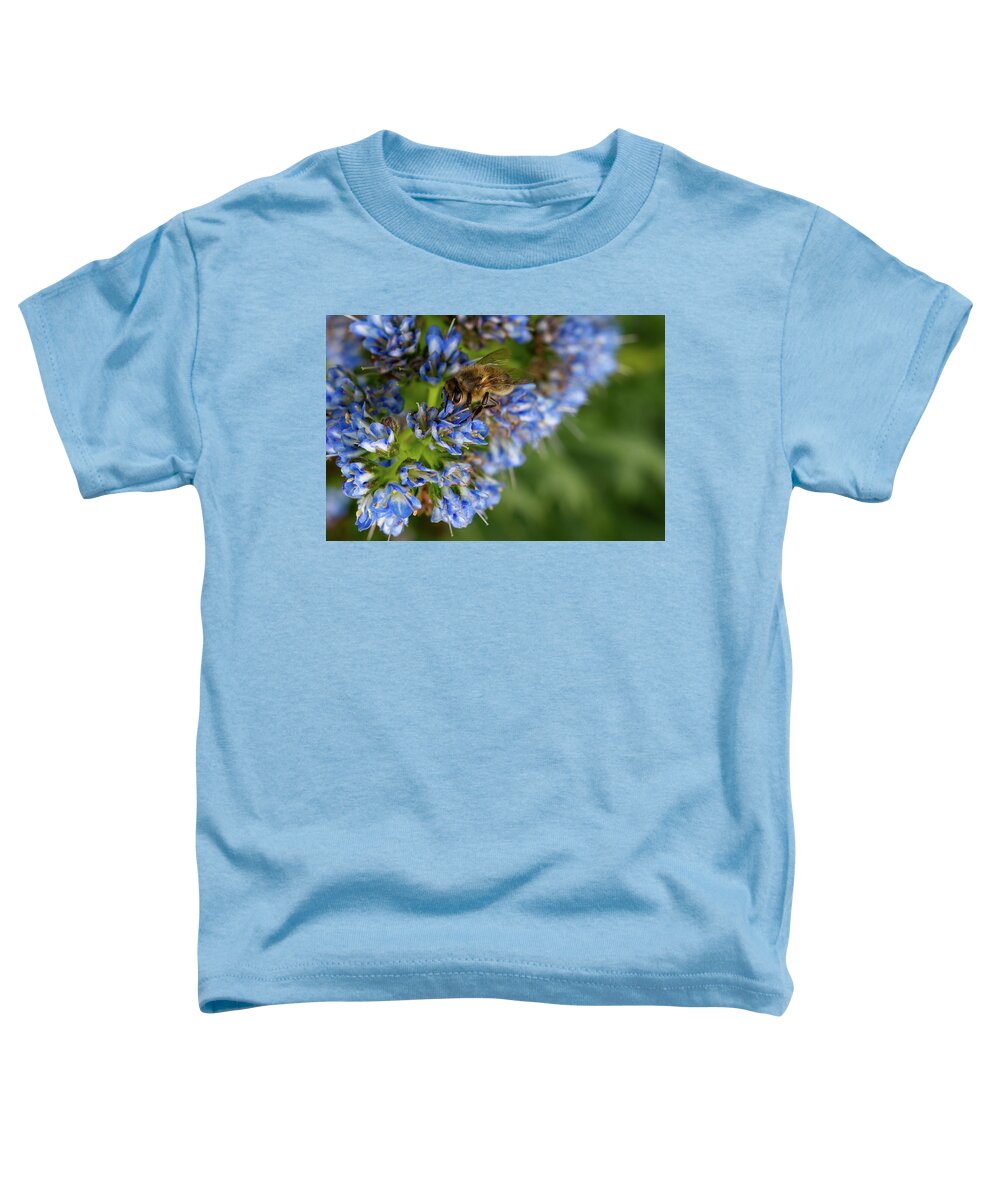Echium Fastuosum Toddler T-Shirt featuring the photograph Bee on a blue Echium Fastuosum by Jean-Luc Farges
