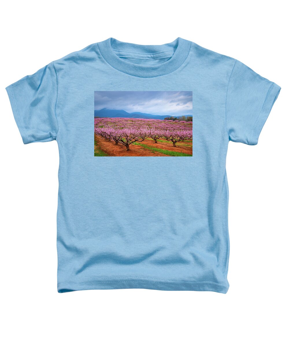 Outdoors Toddler T-Shirt featuring the photograph Blue Ridge Mountains South Carolina Peach Fields Forever by Robert Stephens