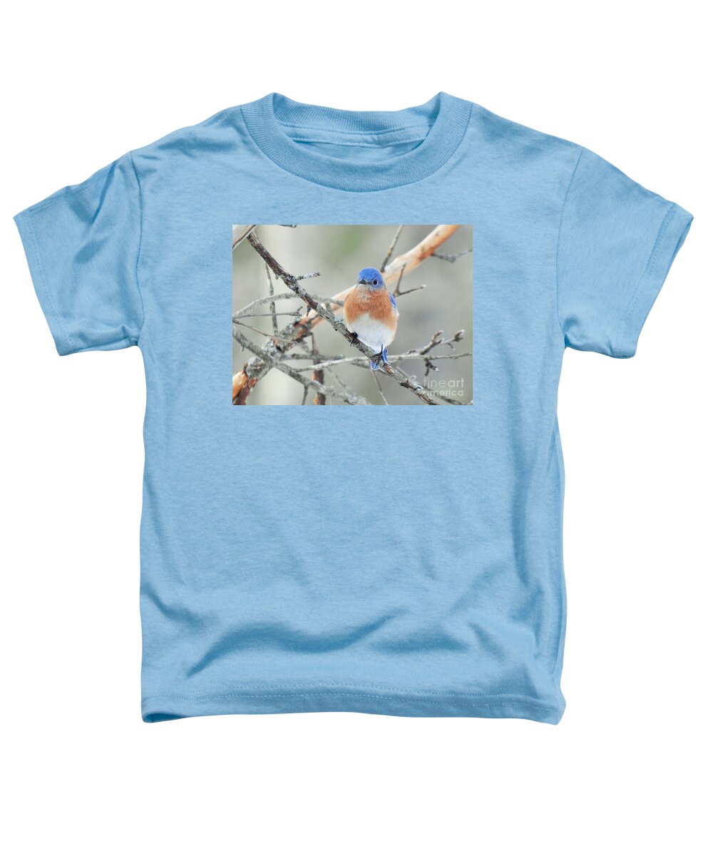Bird Toddler T-Shirt featuring the photograph Bluebird Perched Photograph by Eunice Miller
