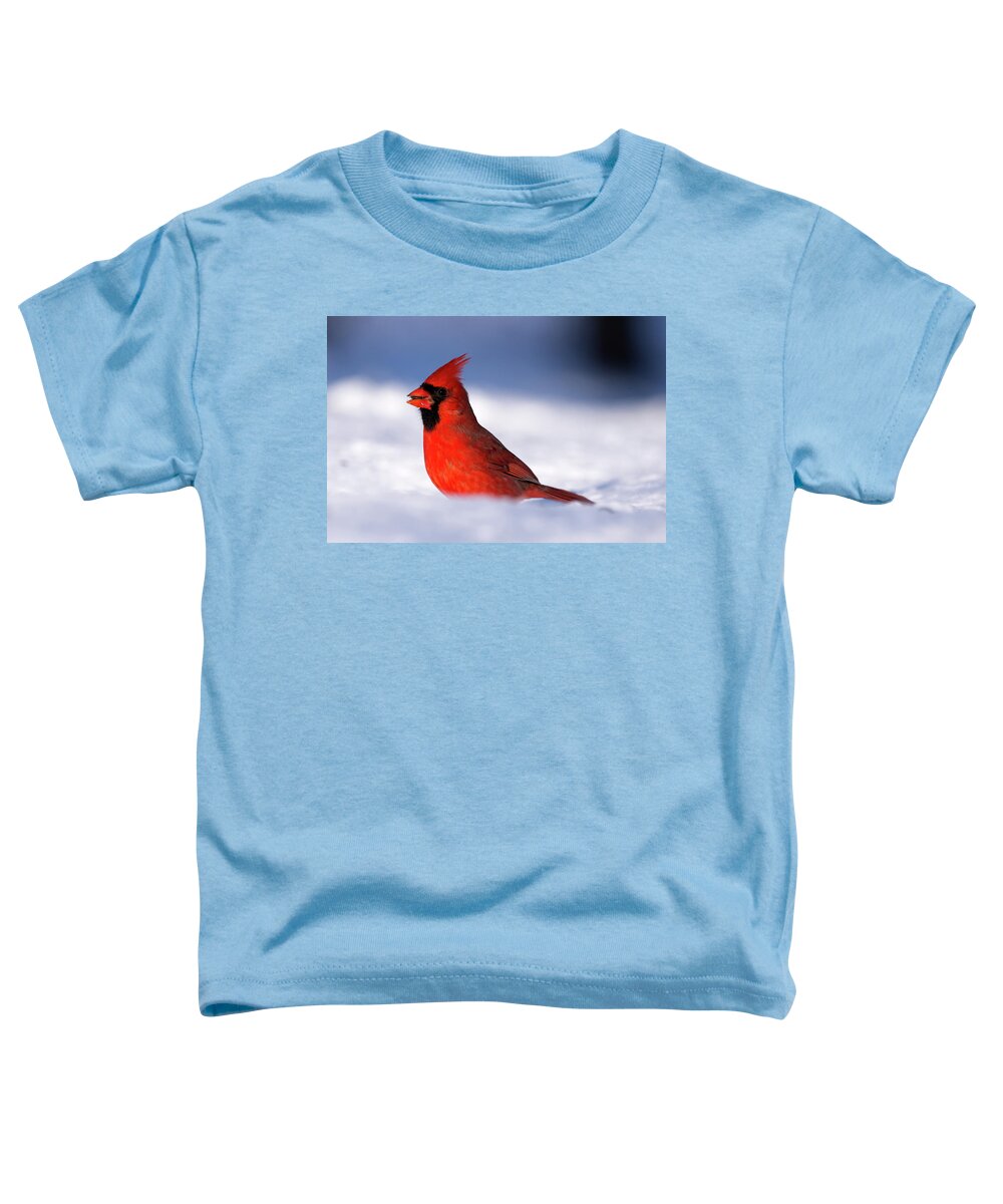Cardinal Toddler T-Shirt featuring the photograph Cardinal on the Snow by Flinn Hackett