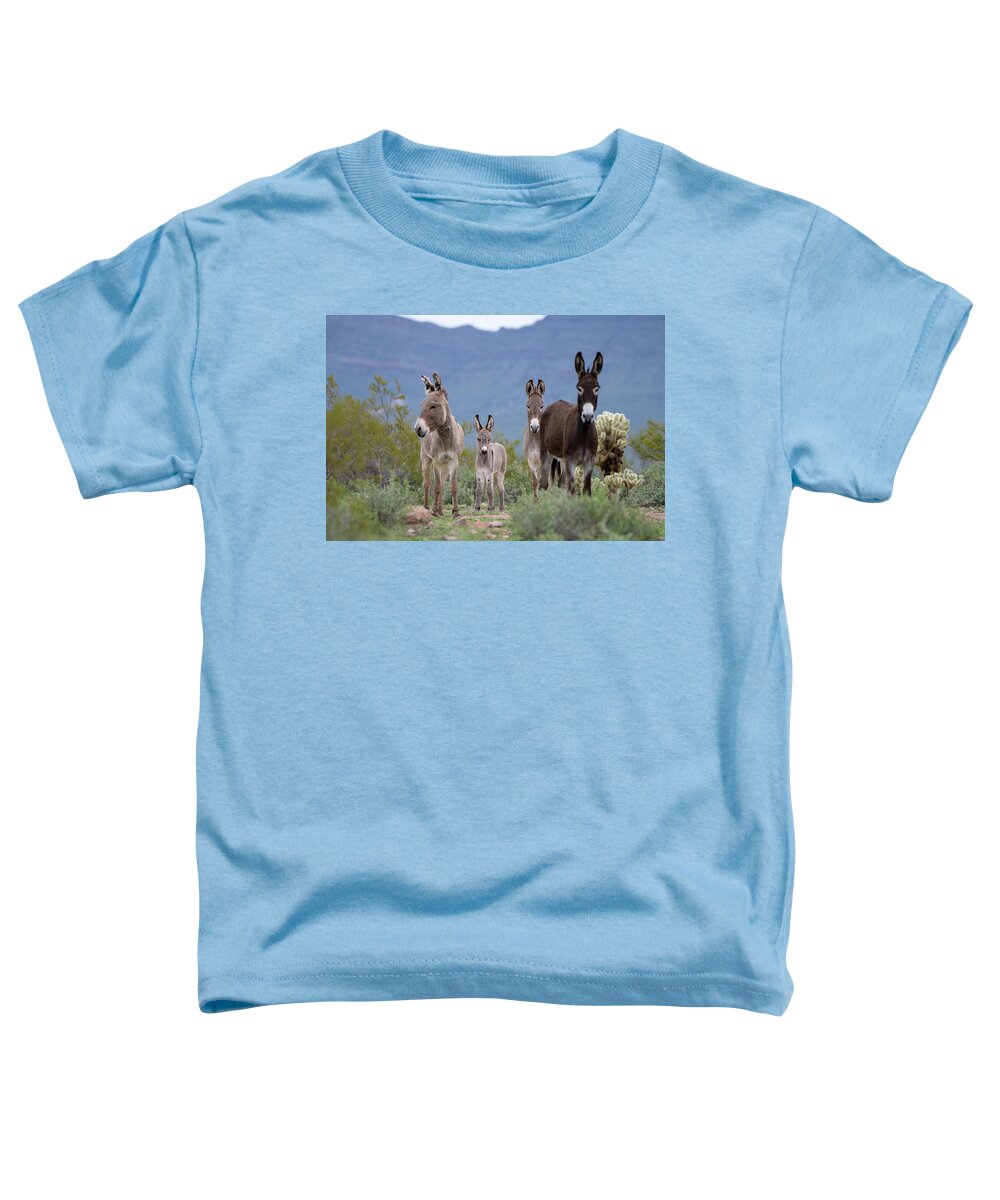 Wild Burro Toddler T-Shirt featuring the photograph Center of Attention by Mary Hone