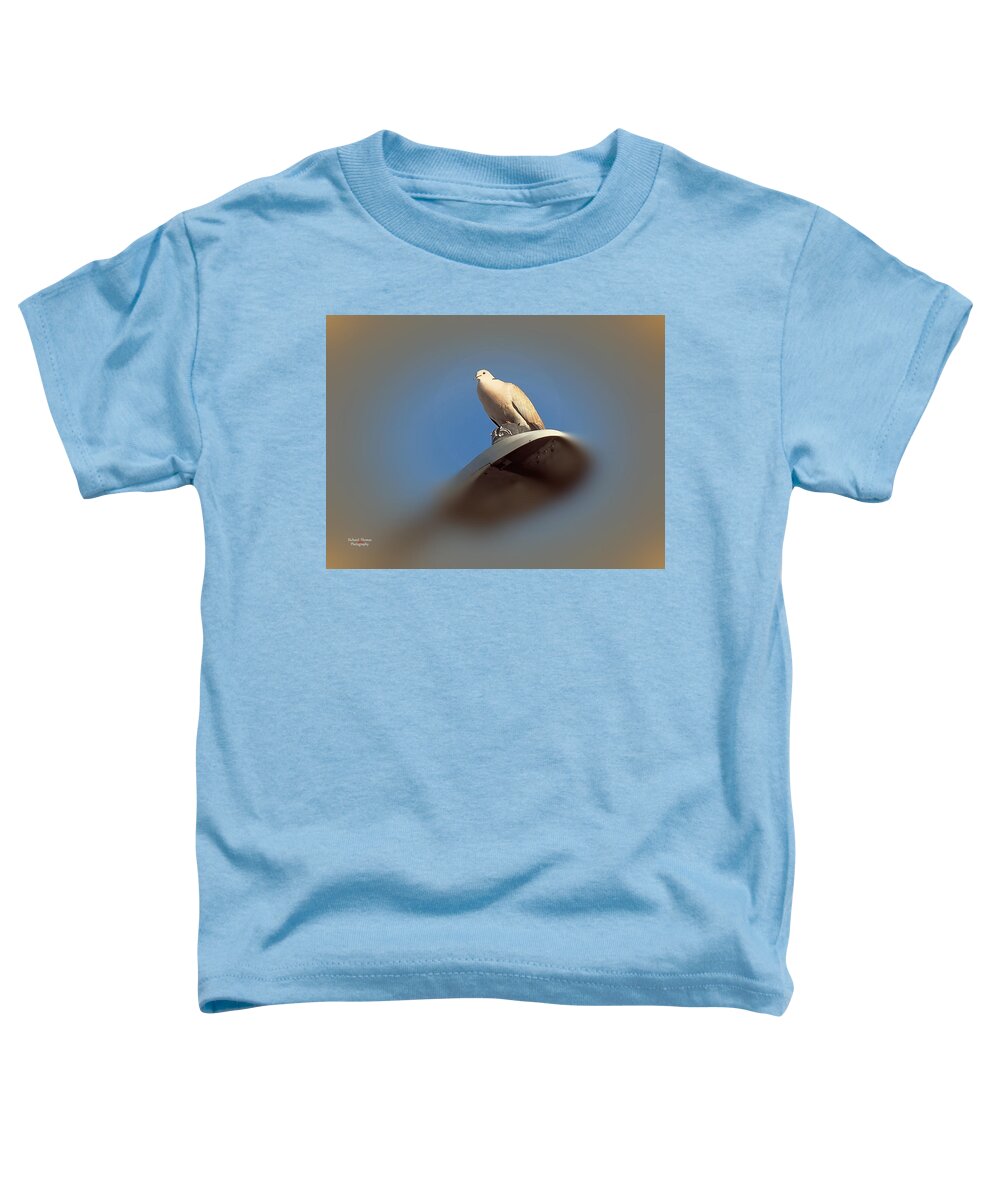 Dove Toddler T-Shirt featuring the photograph Collared Dove P6130039 by Richard Thomas