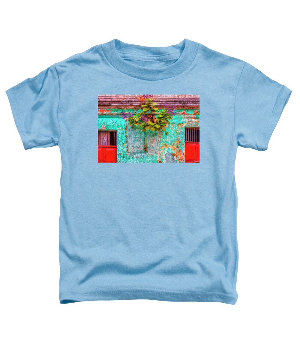 Antigua Toddler T-Shirt featuring the photograph Colors of Guatemala #2 by Tatiana Travelways