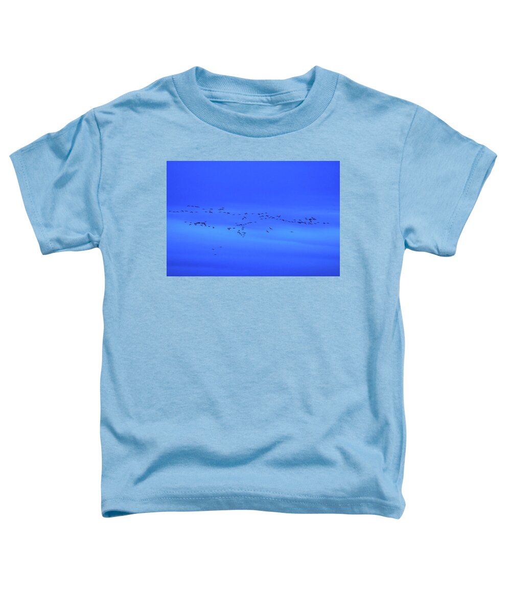 Finland Toddler T-Shirt featuring the photograph Eurasian crane blues and sounds by Jouko Lehto