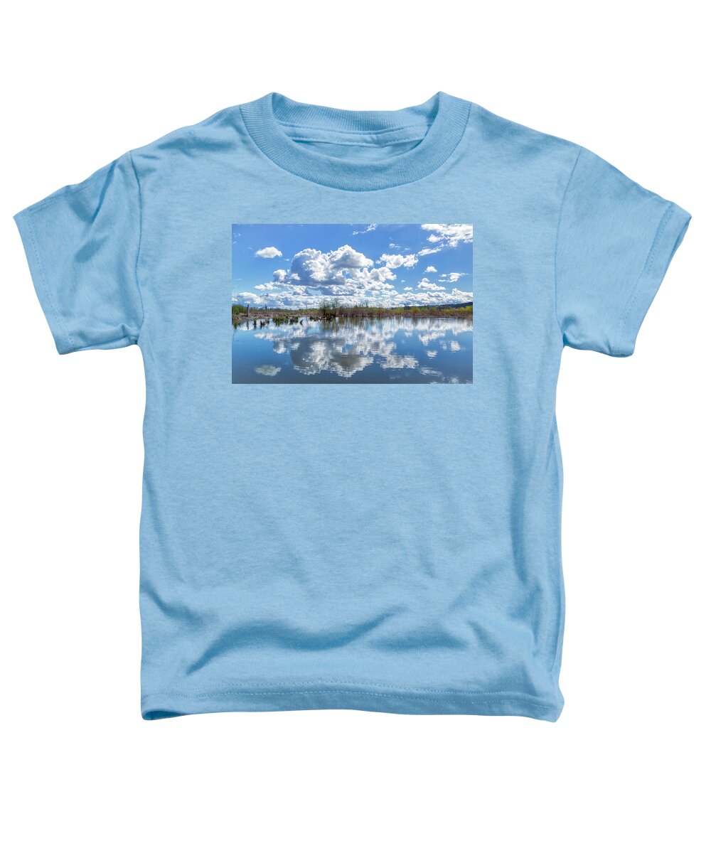 Tree Toddler T-Shirt featuring the photograph Fern Hill Pond by Loyd Towe Photography