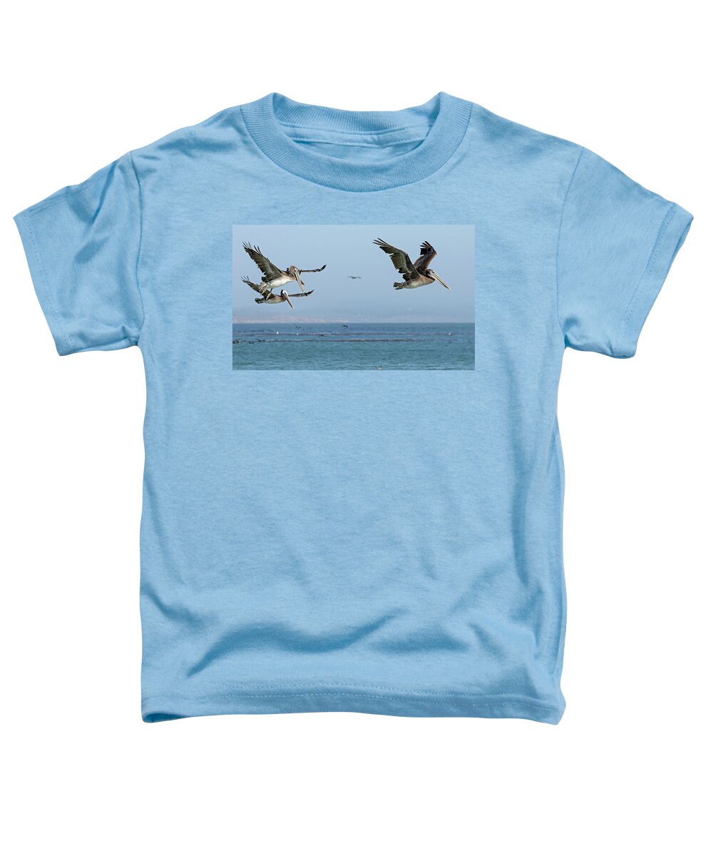 Pelican Toddler T-Shirt featuring the photograph Flight of the Pelicans by Sue Cullumber