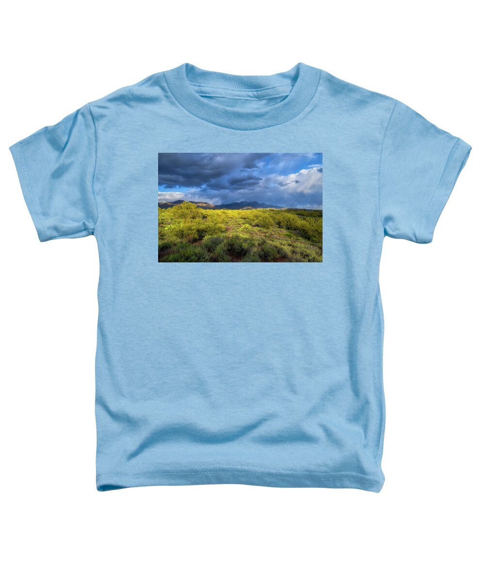 Four Peaks Toddler T-Shirt featuring the photograph Four Peaks Rain by Chance Kafka