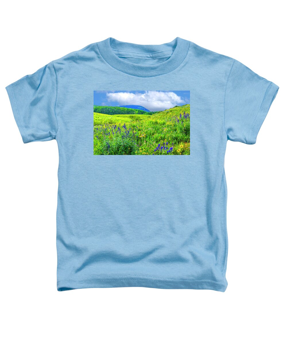 Colorado Wildflowers Toddler T-Shirt featuring the photograph God's High Country Garden by Lynn Bauer