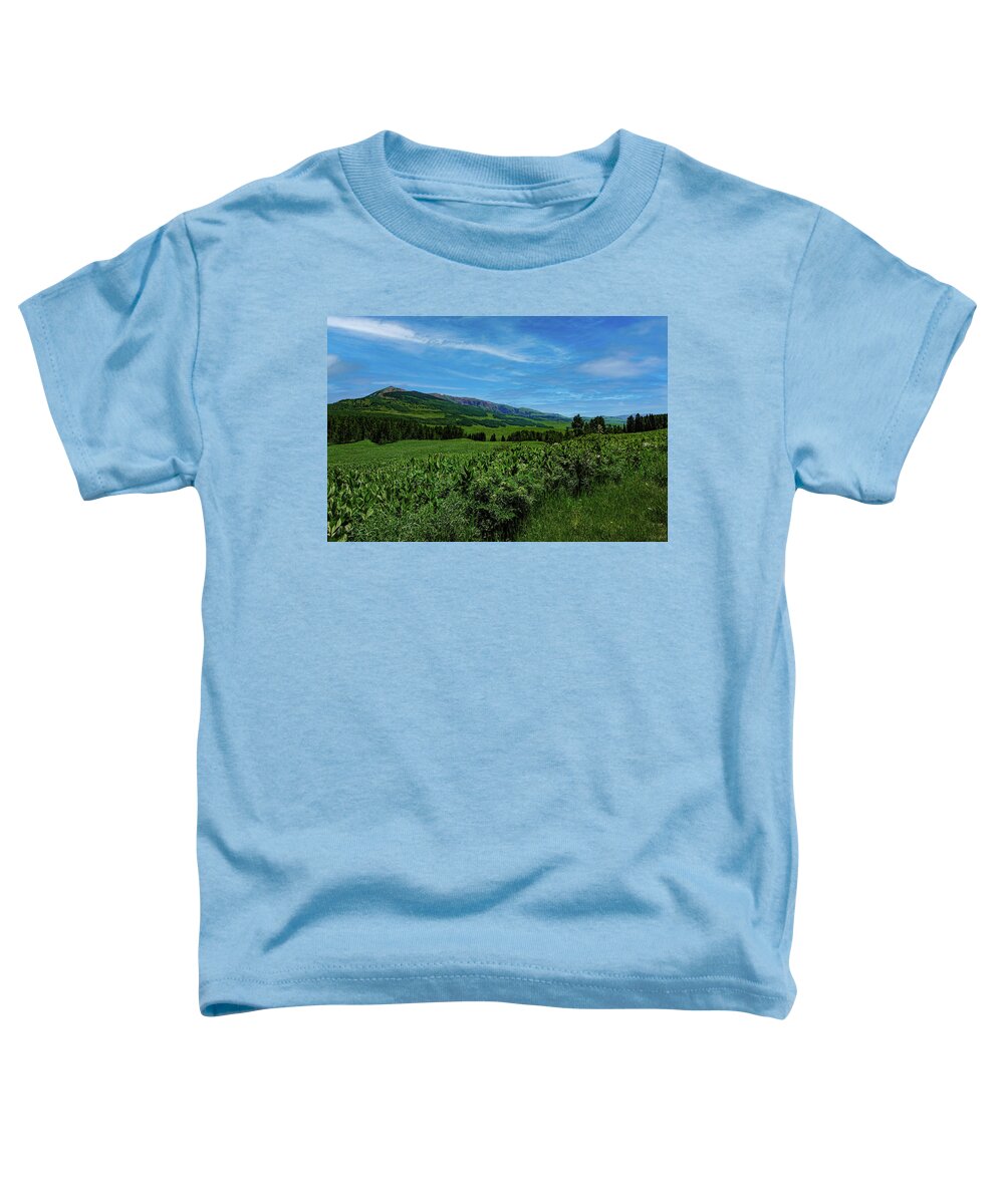 Cloud Toddler T-Shirt featuring the photograph Crested Butte Colorado, Gothic Mountain by Tom Potter