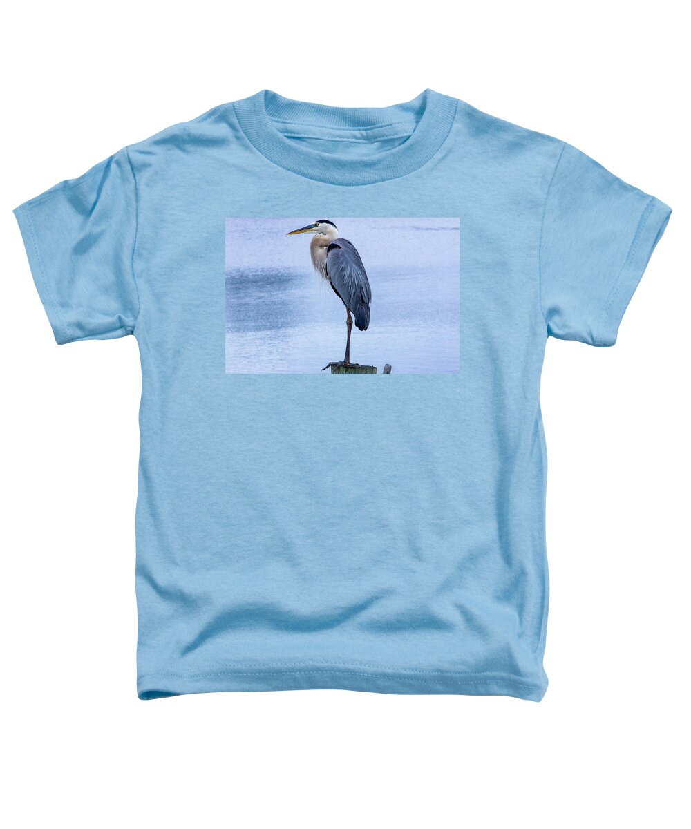 Great Blue Heron Toddler T-Shirt featuring the photograph Great Blue Heron by Blair Damson