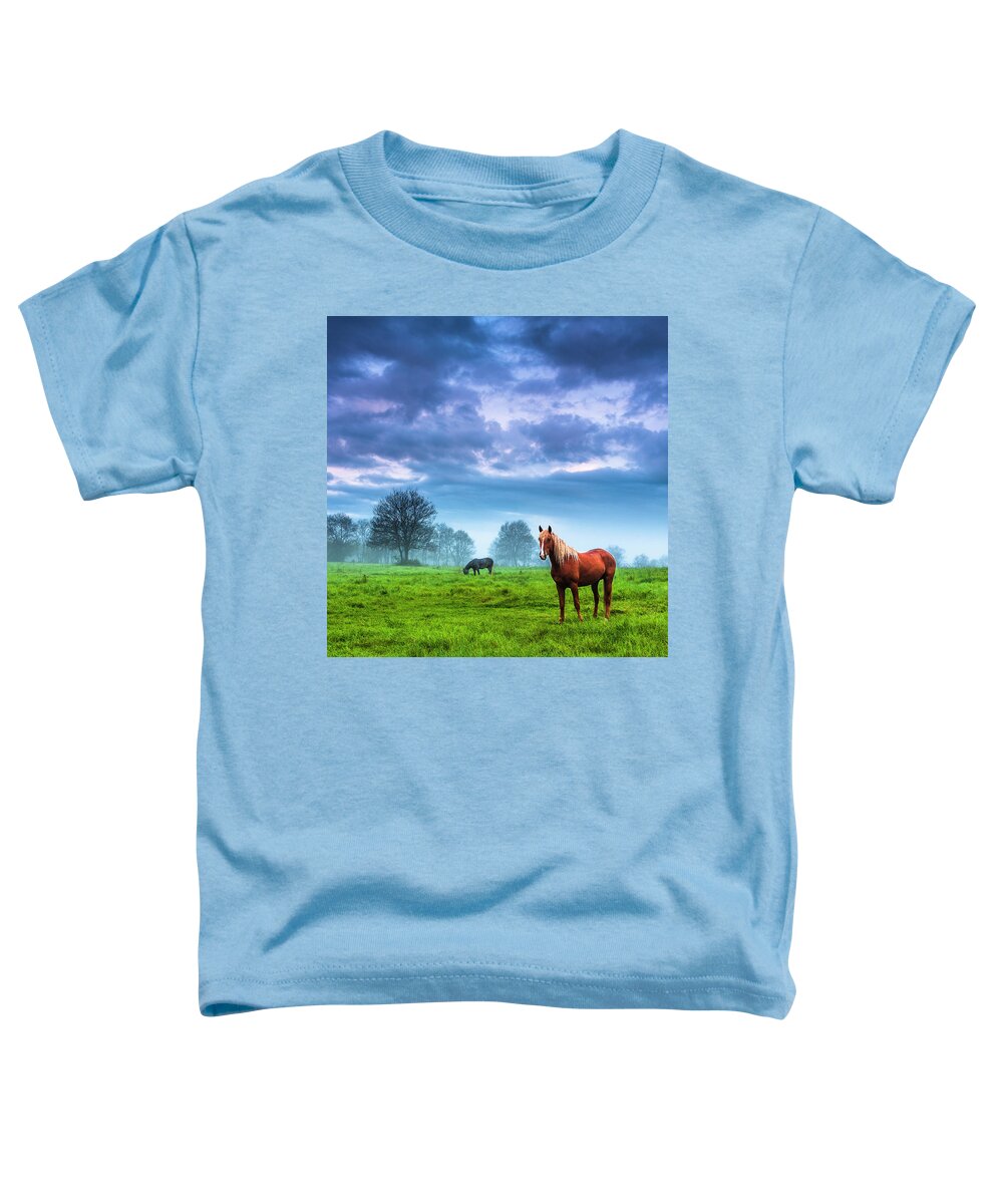 Fog Toddler T-Shirt featuring the photograph Green Morn by Evgeni Dinev