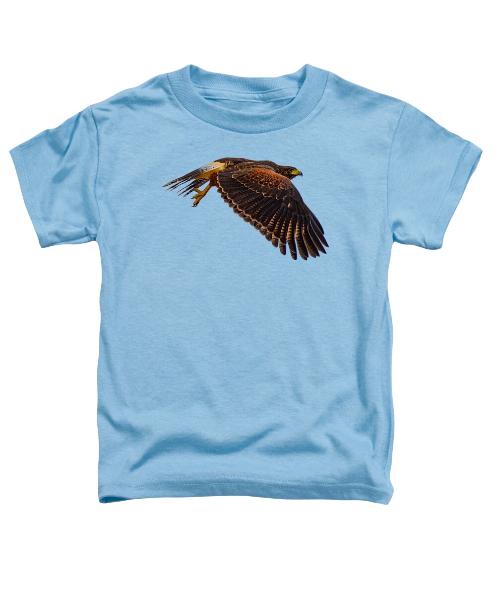 Mark Myhaver Photography Toddler T-Shirt featuring the photograph Harris's Hawk 24783 by Mark Myhaver