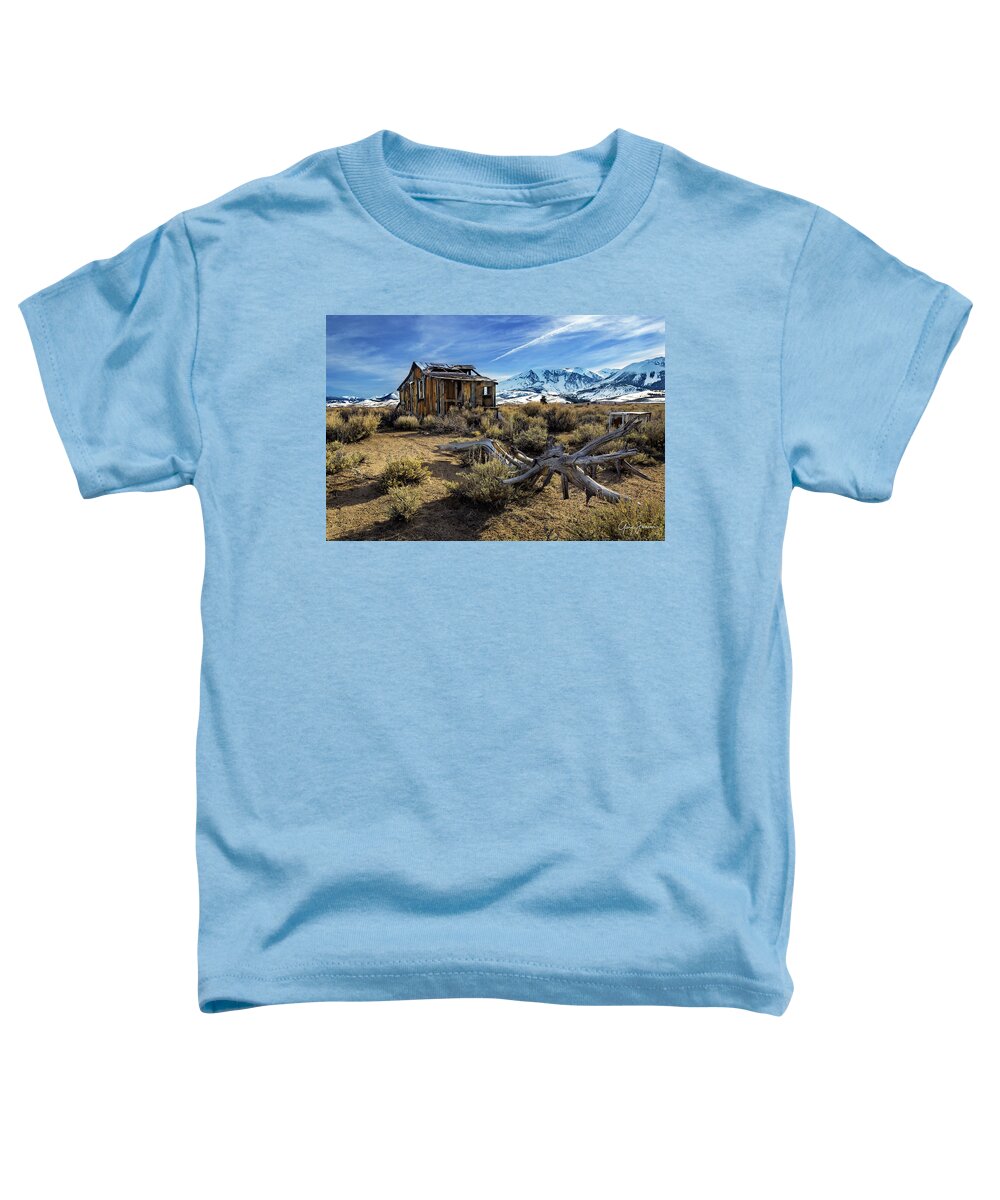 Gary-johnson Toddler T-Shirt featuring the photograph Highway 395 Cabin by Gary Johnson