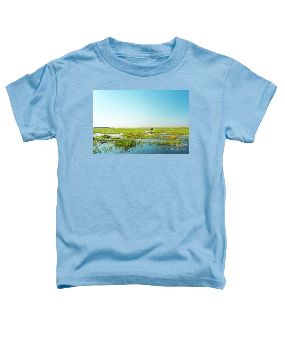 Hippopotamus Toddler T-Shirt featuring the photograph Hippo In Chobe National Park by THP Creative