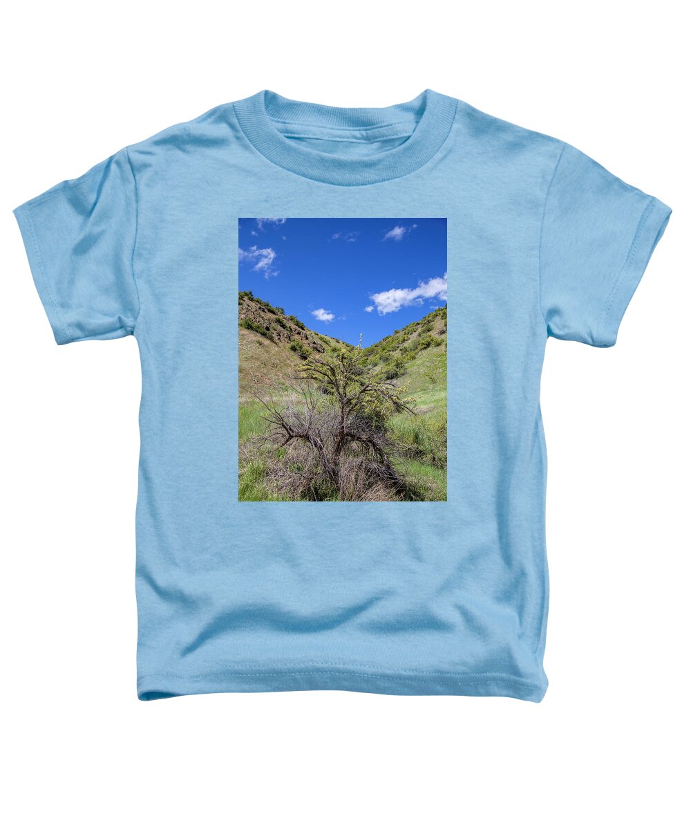 Idaho Toddler T-Shirt featuring the photograph Idaho Rocky Scenery by Dart Humeston