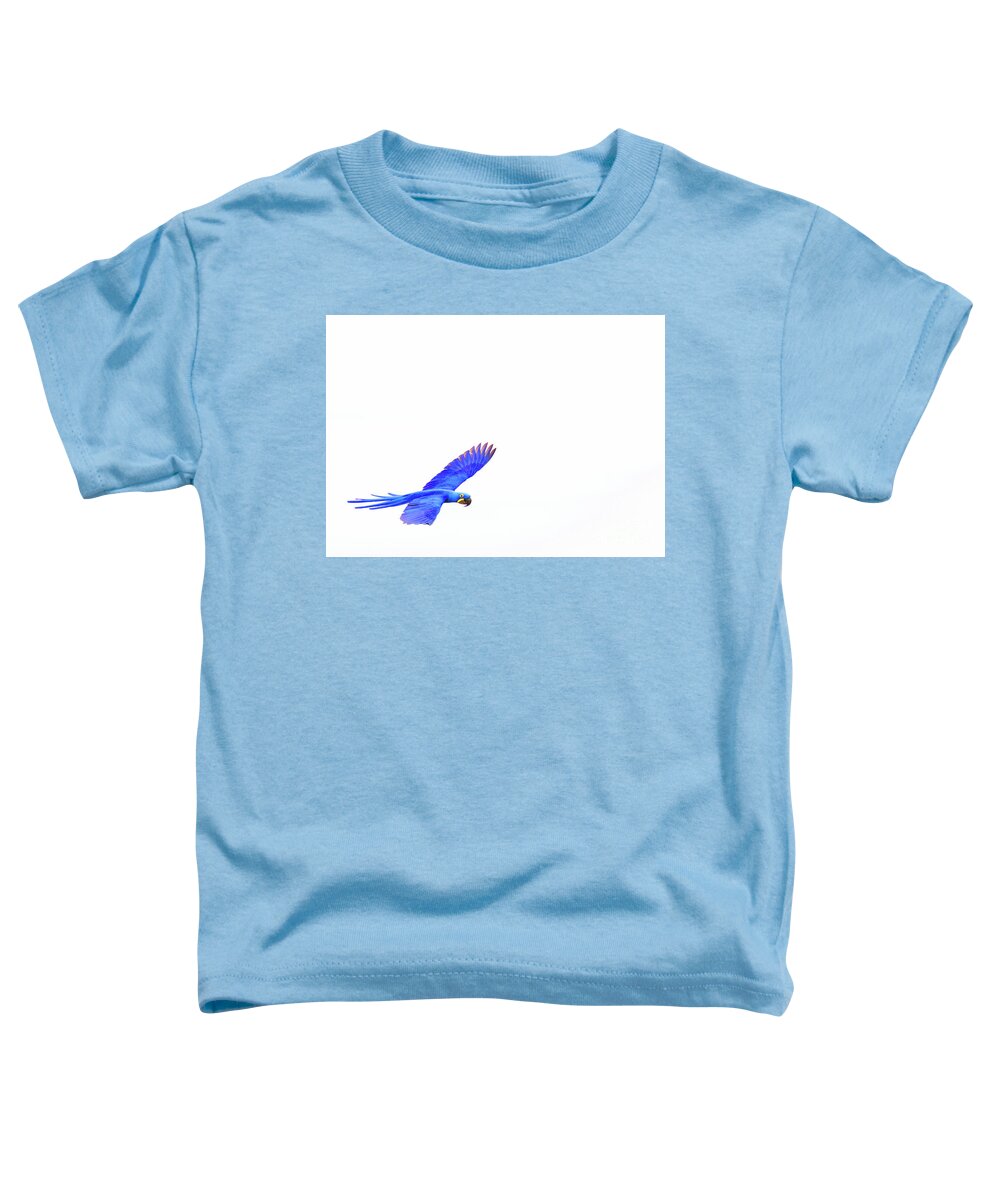 Hyacinth Toddler T-Shirt featuring the photograph In flight 1of3 by Patrick Nowotny